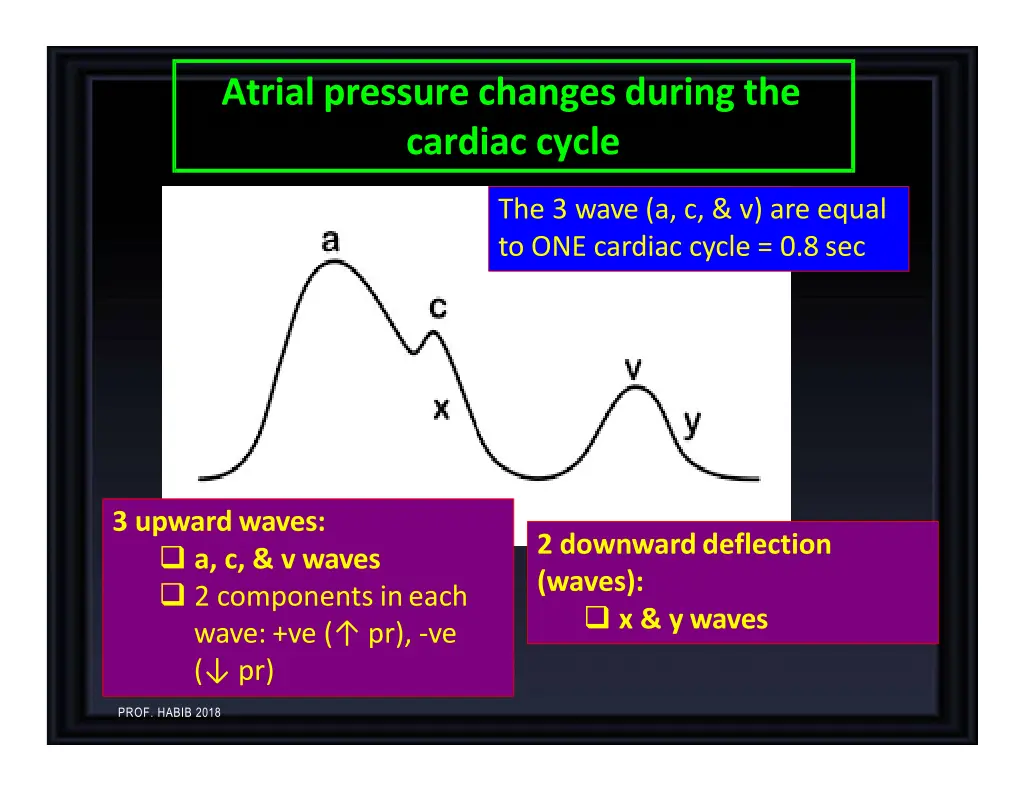 atrial pressure changes during the cardiac cycle 1