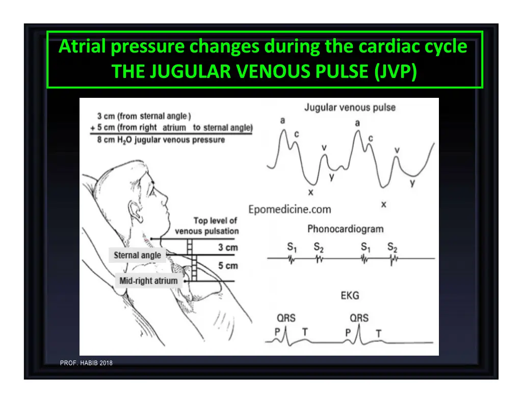 atrial pressure changes during the cardiac cycle