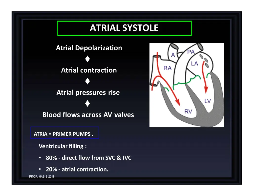 atrial systole