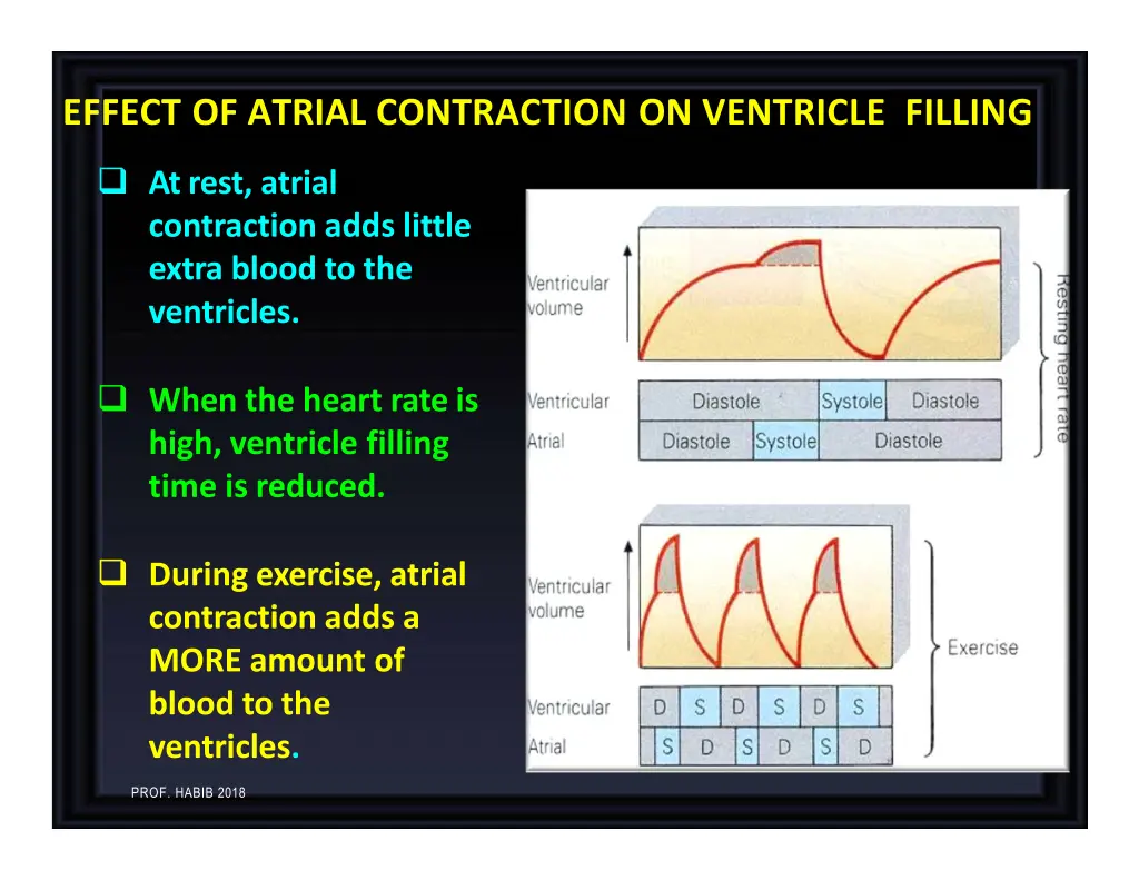 effect of atrial contraction on ventricle filling