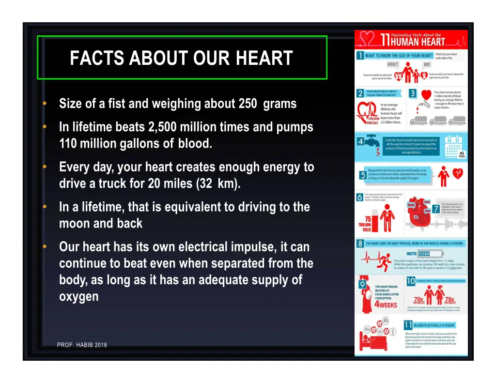 facts about our heart