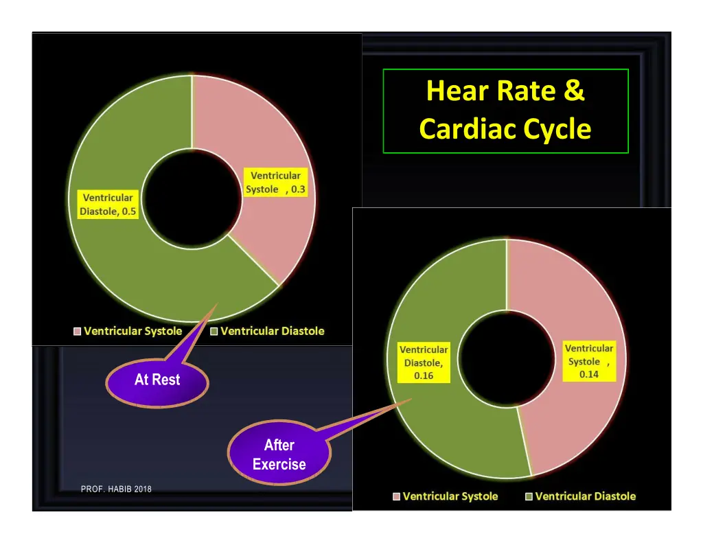 hear rate cardiac cycle