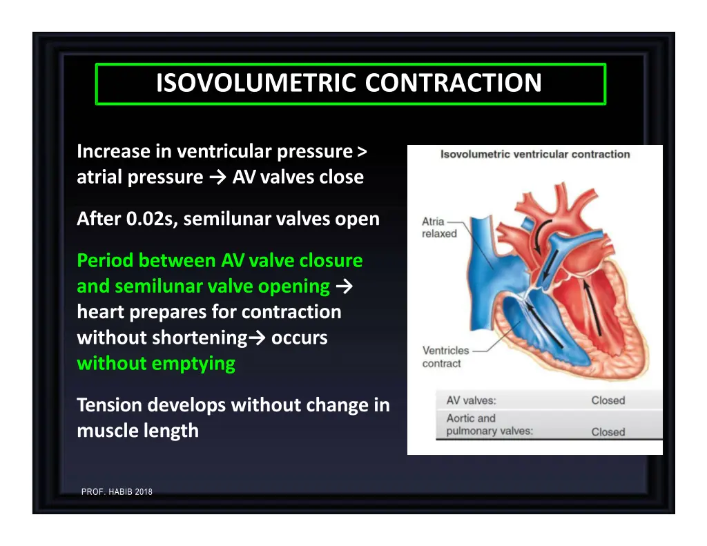 isovolumetric contraction