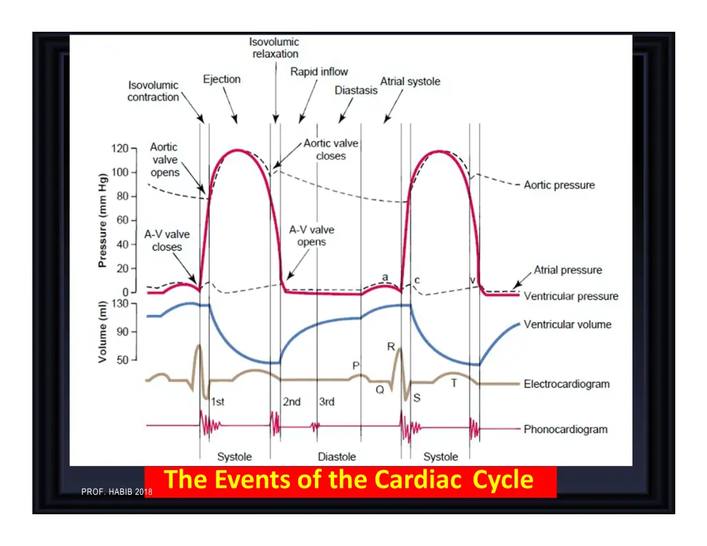 the events of the cardiac cycle