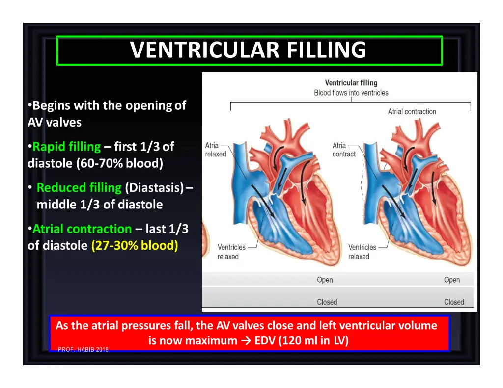 ventricular filling