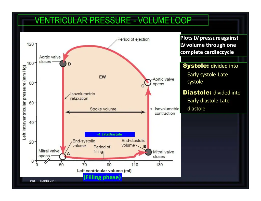 ventricular pressure volumeloop