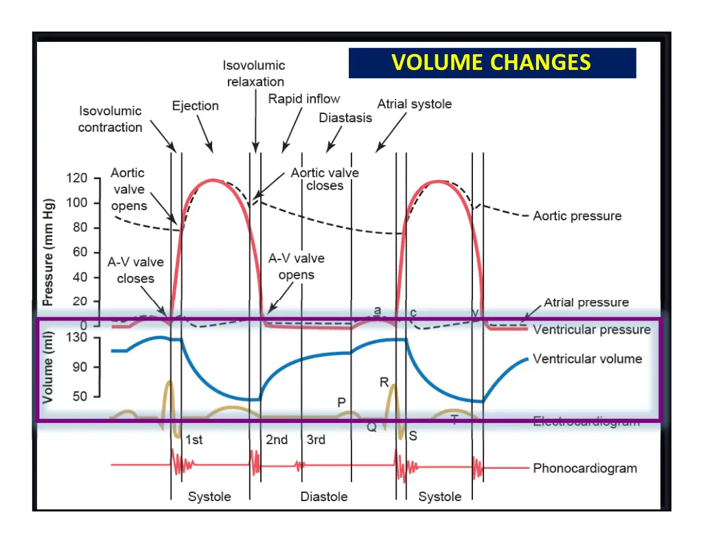 volume changes