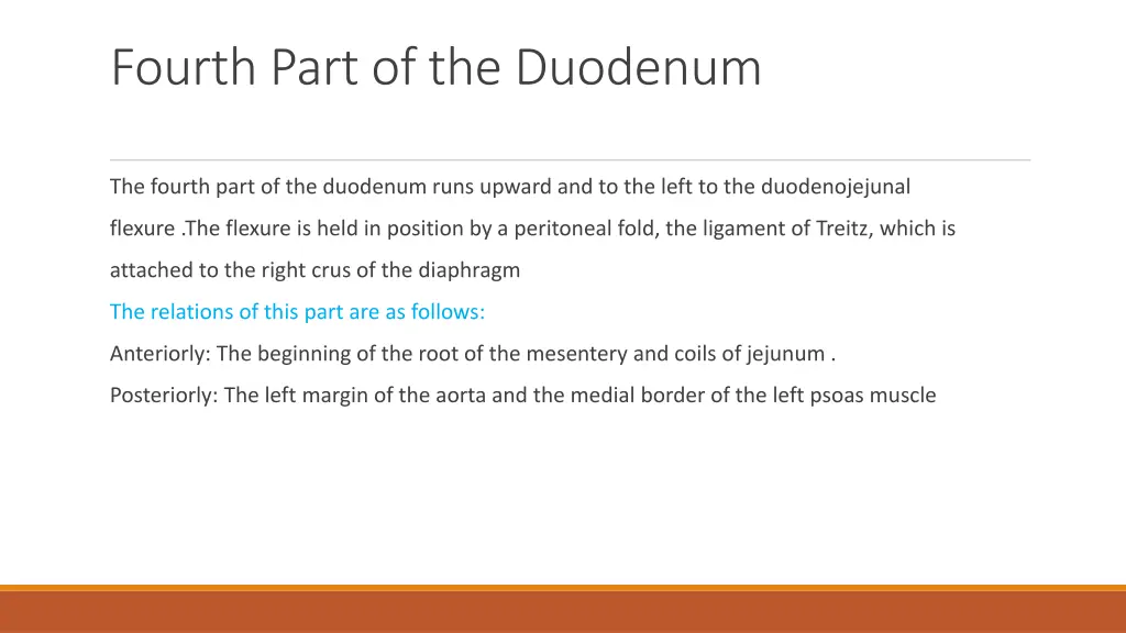 fourth part of the duodenum