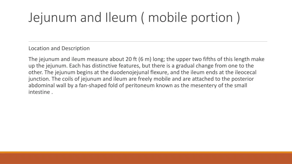 jejunum and ileum mobile portion