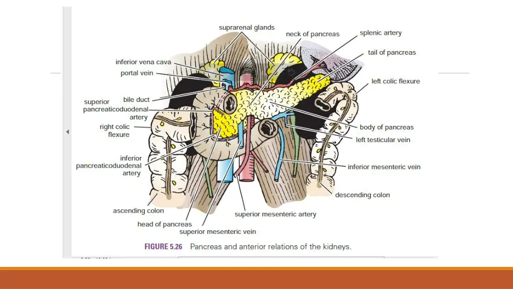 slide7