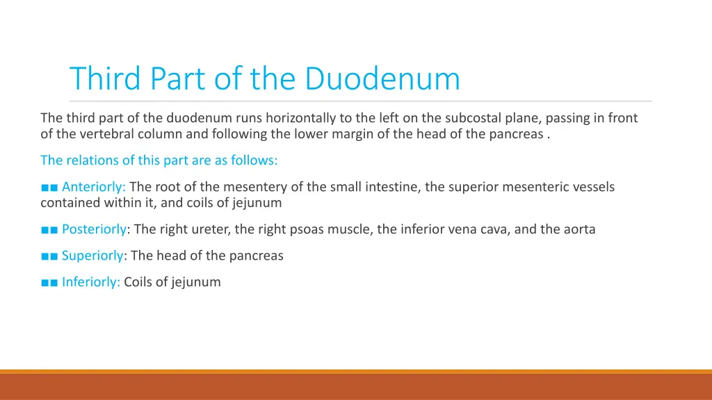 third part of the duodenum