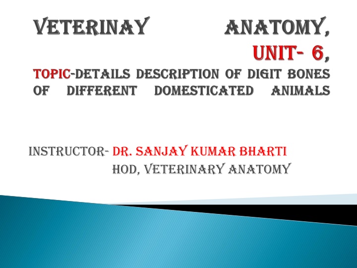 instructor dr sanjay kumar bharti hod veterinary