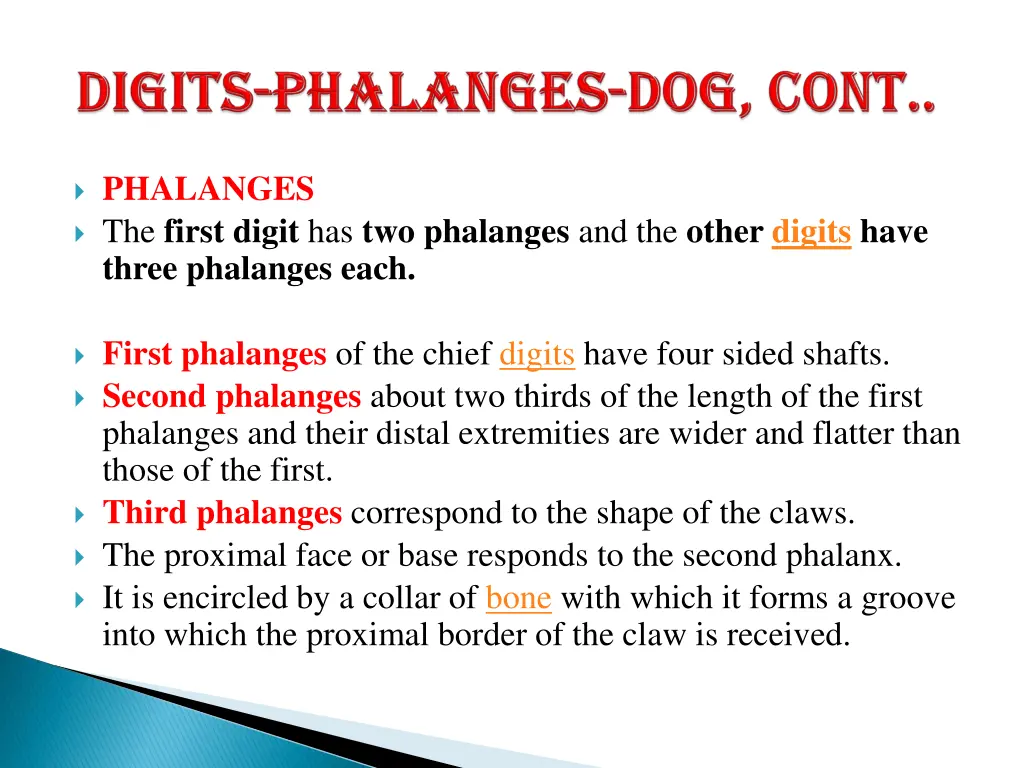 phalanges the first digit has two phalanges