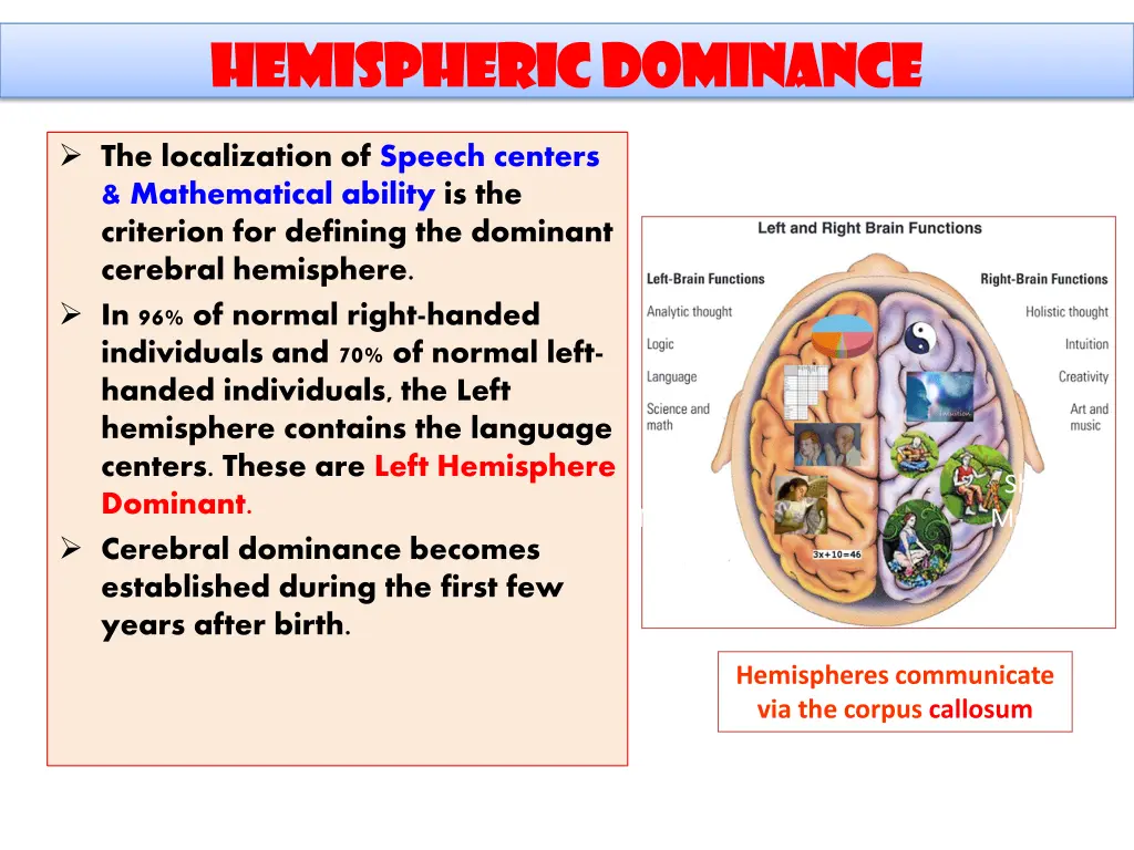 hemispheric dominance hemispheric dominance