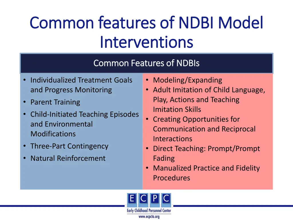 common features of ndbi model common features