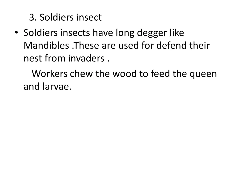 3 soldiers insect soldiers insects have long