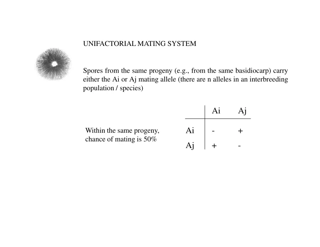 unifactorialmating system