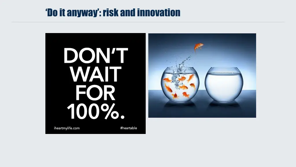 do it anyway risk and innovation