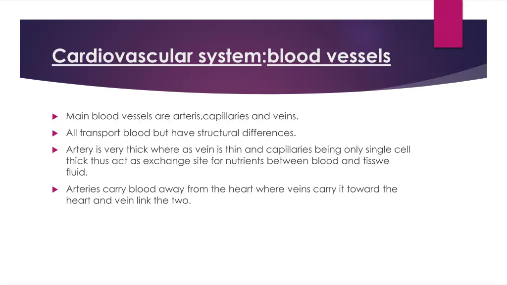 cardiovascular system blood vessels