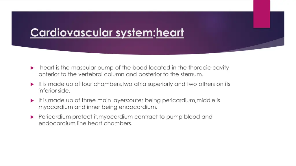 cardiovascular system heart