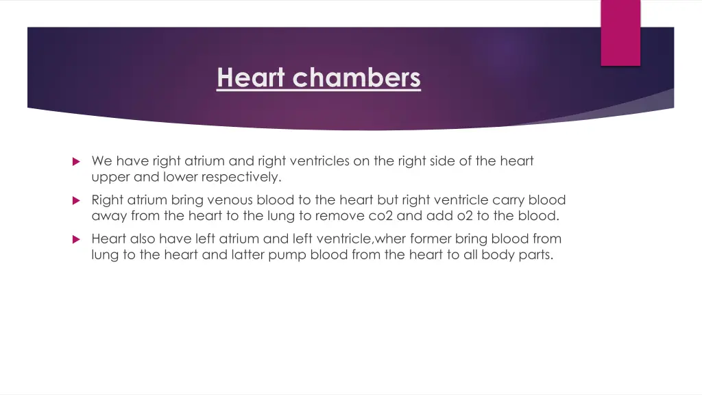 heart chambers