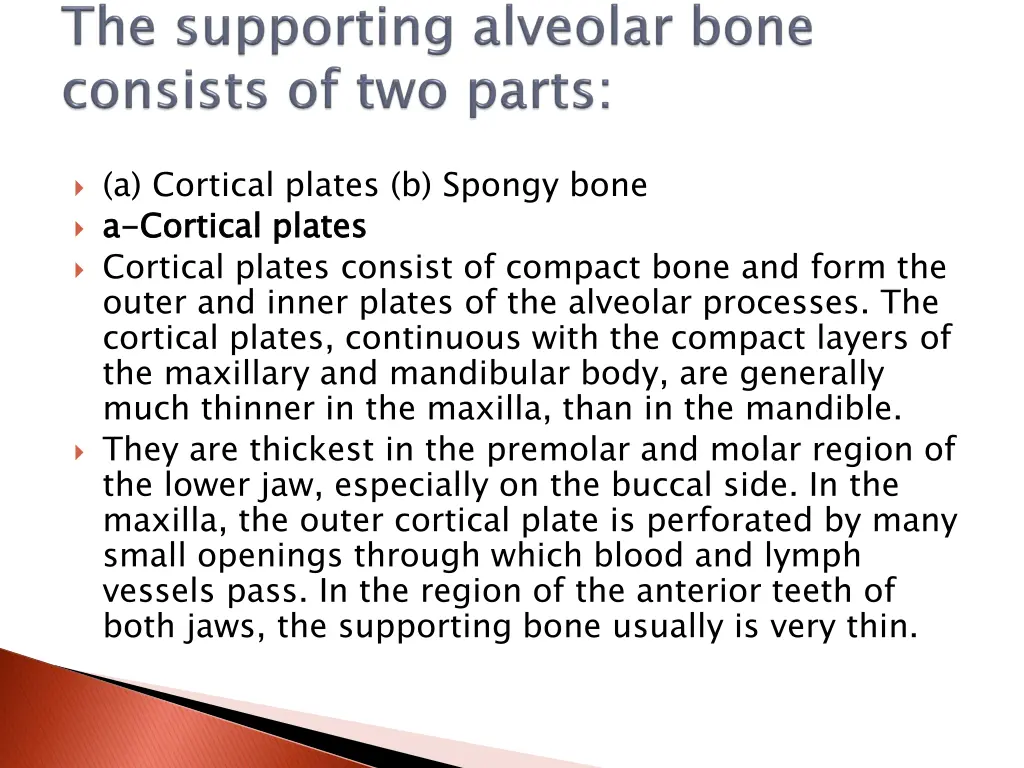 a cortical plates b spongy bone a a cortical