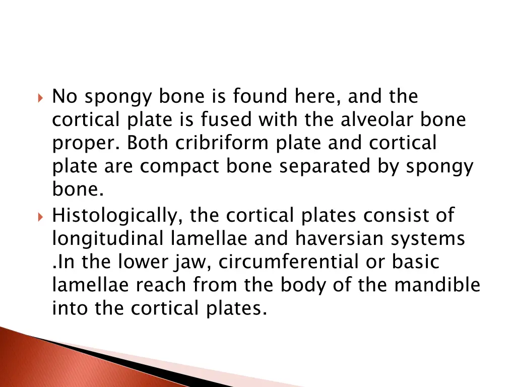 no spongy bone is found here and the cortical