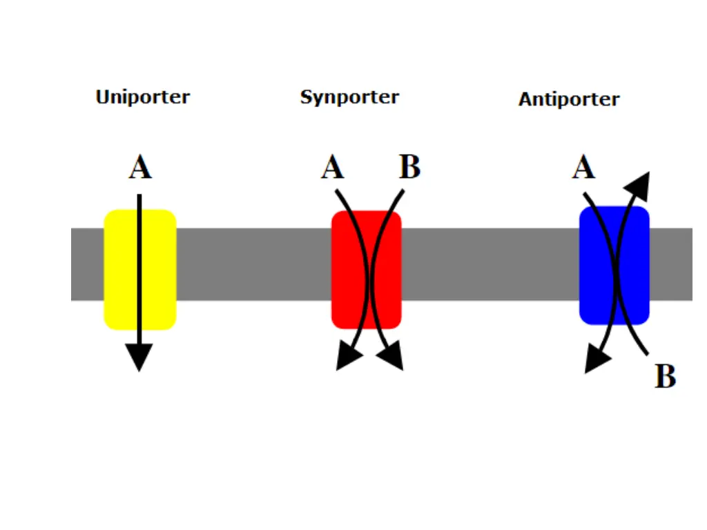 slide11