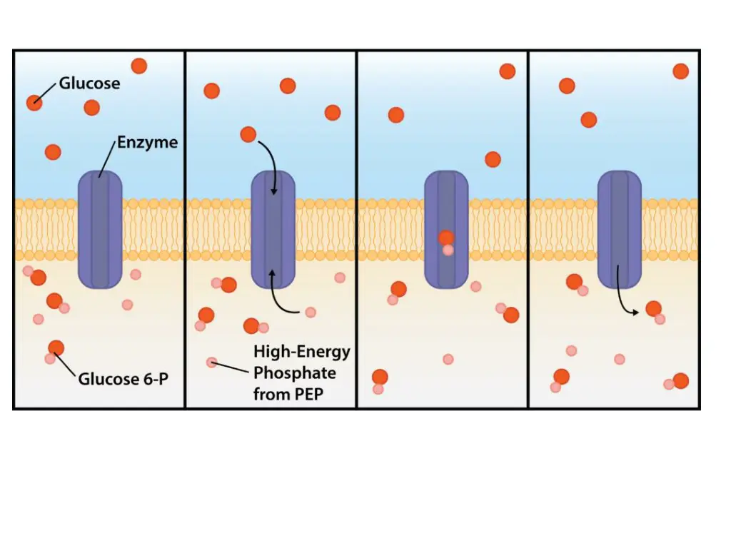 slide13