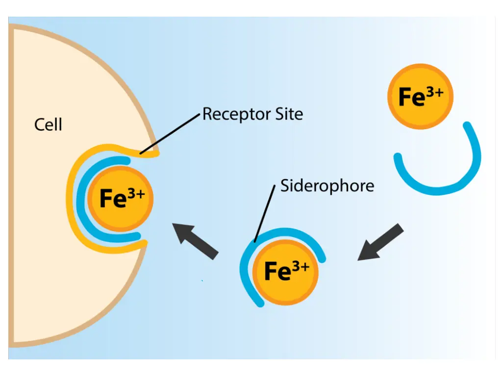 slide15