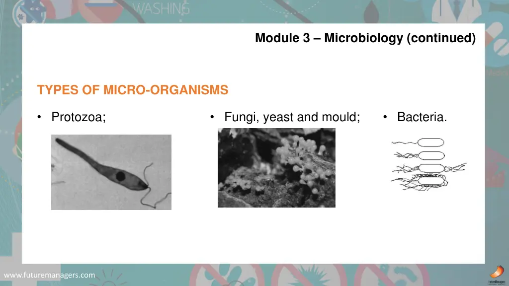 module 3 microbiology continued