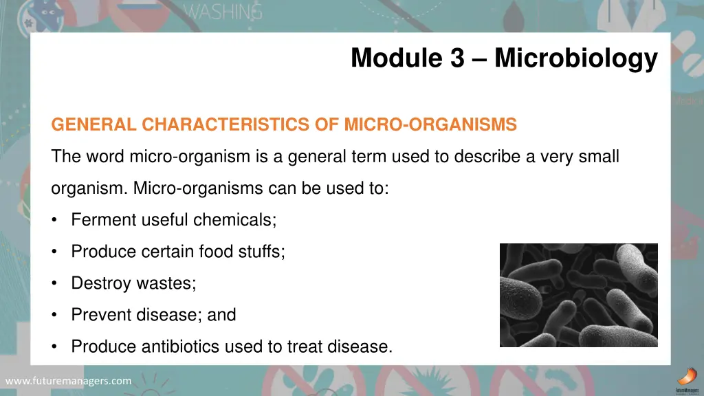 module 3 microbiology