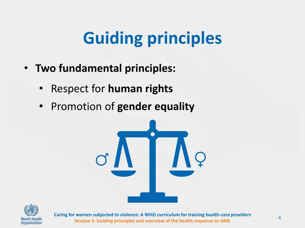 guiding principles 1