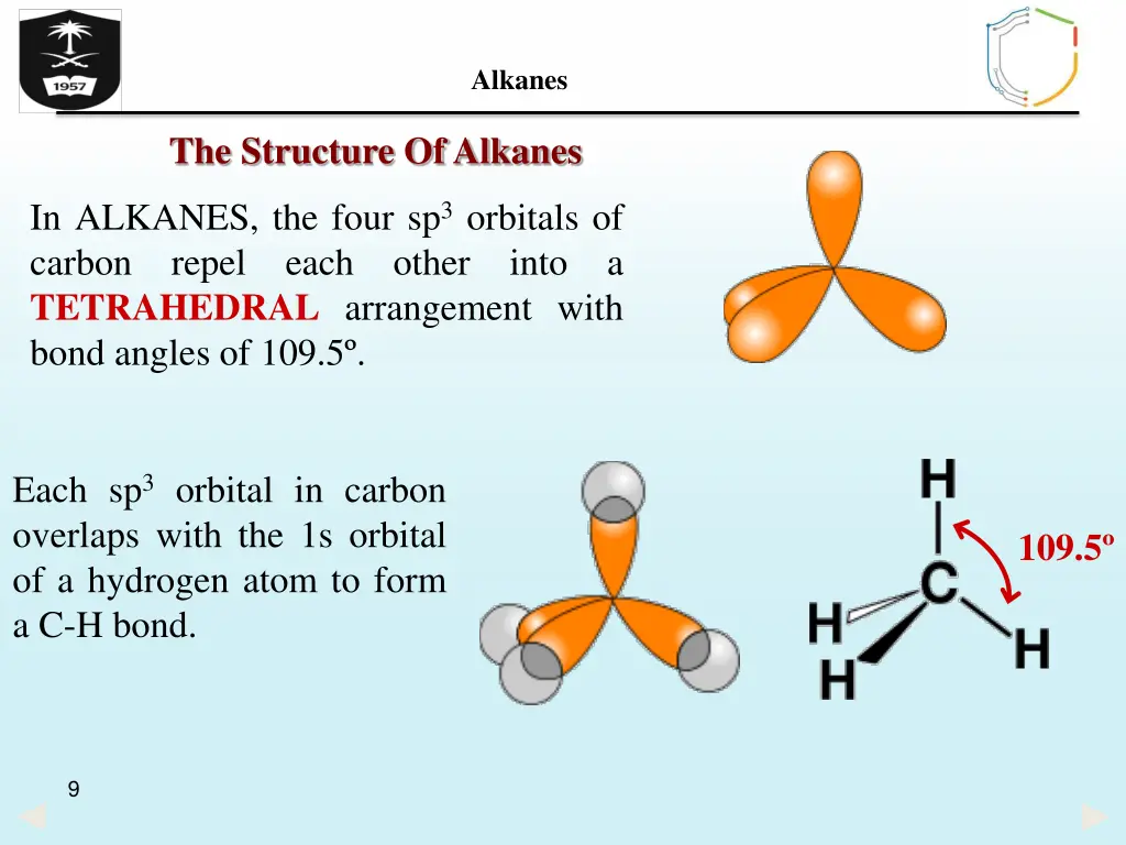 alkanes 7