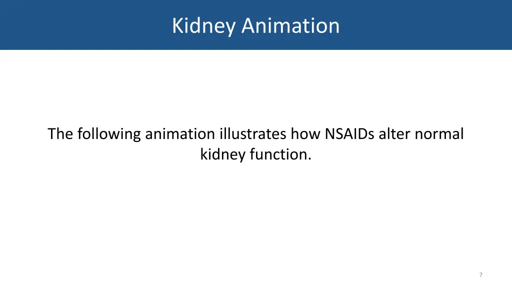 kidney animation