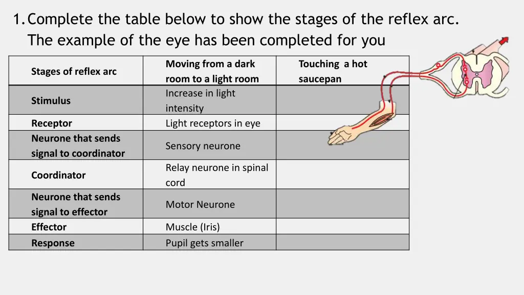 1 complete the table below to show the stages