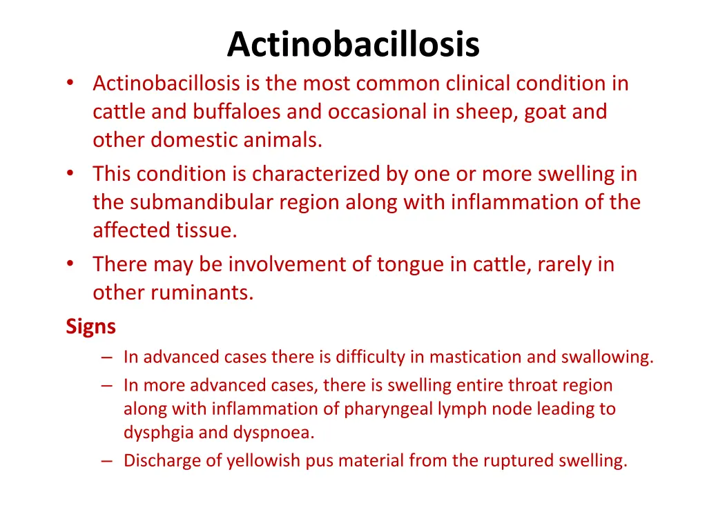 actinobacillosis