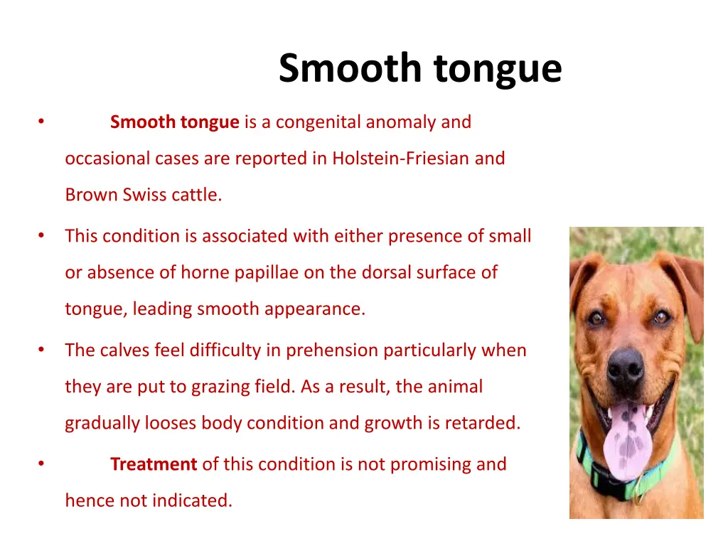 smooth tongue