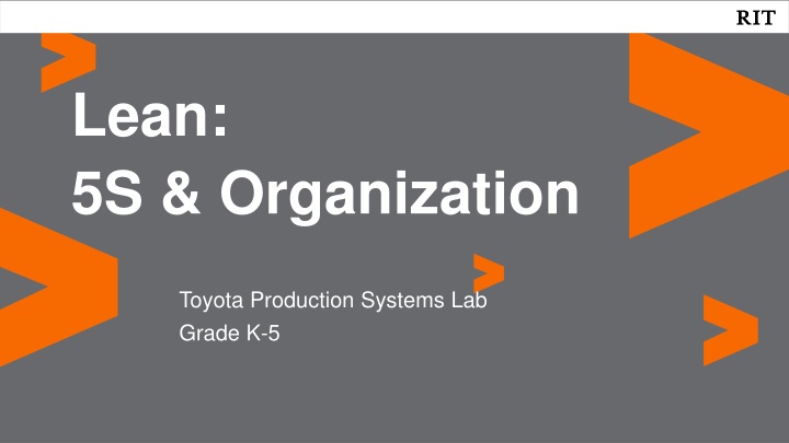 lean 5s organization