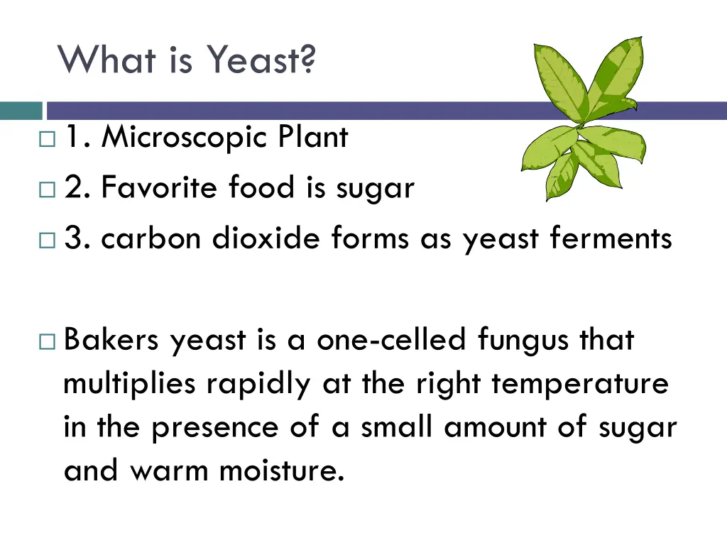 what is yeast