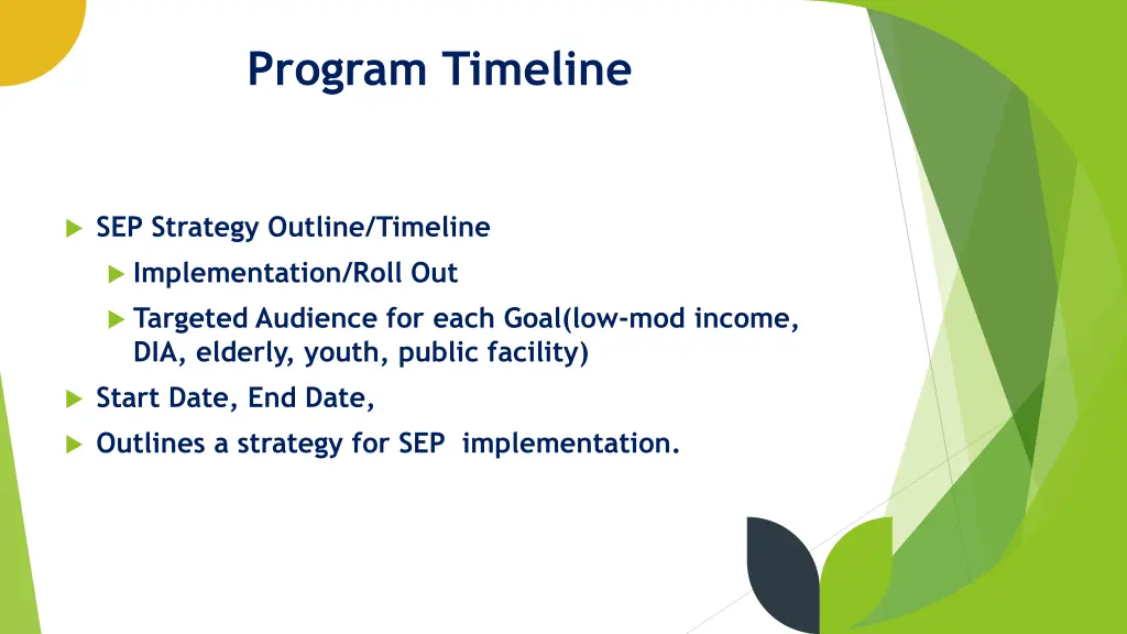 program timeline