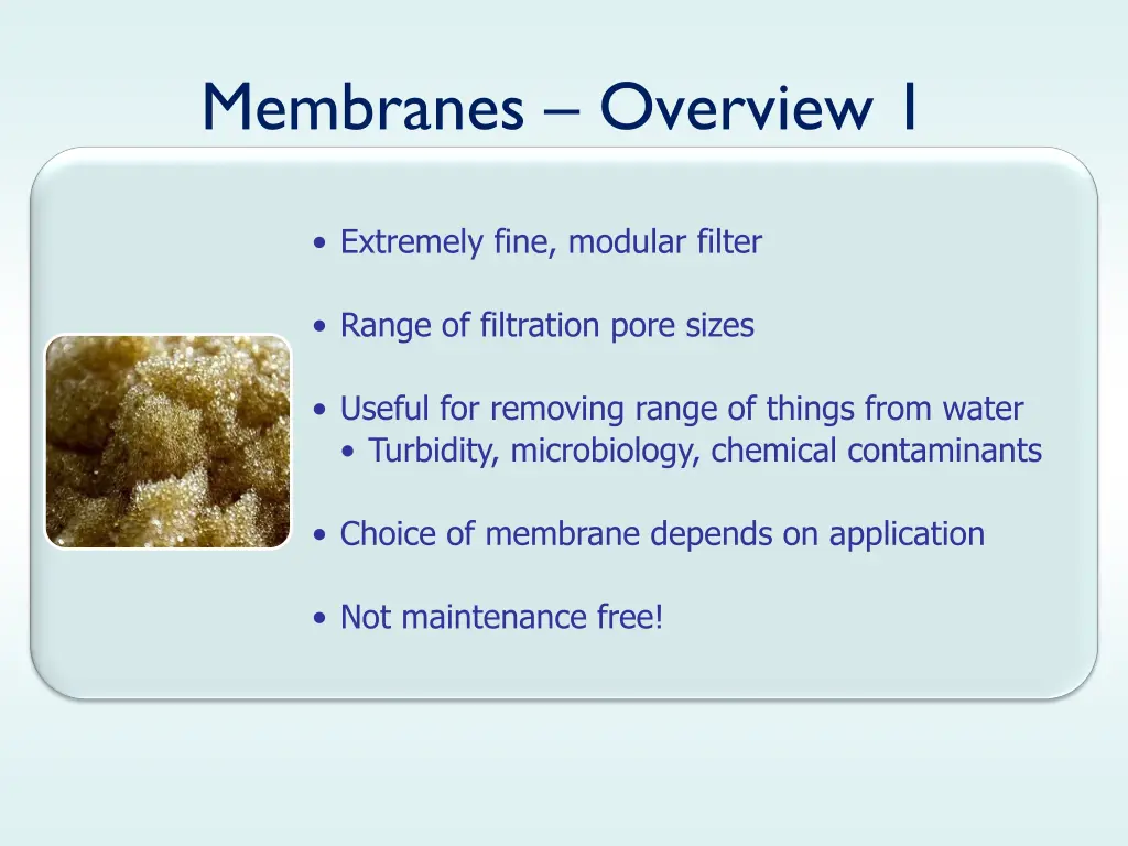 membranes overview 1