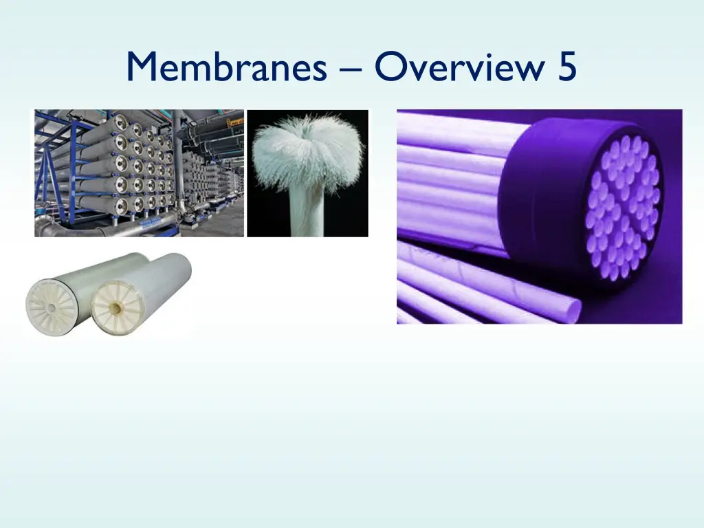 membranes overview 5