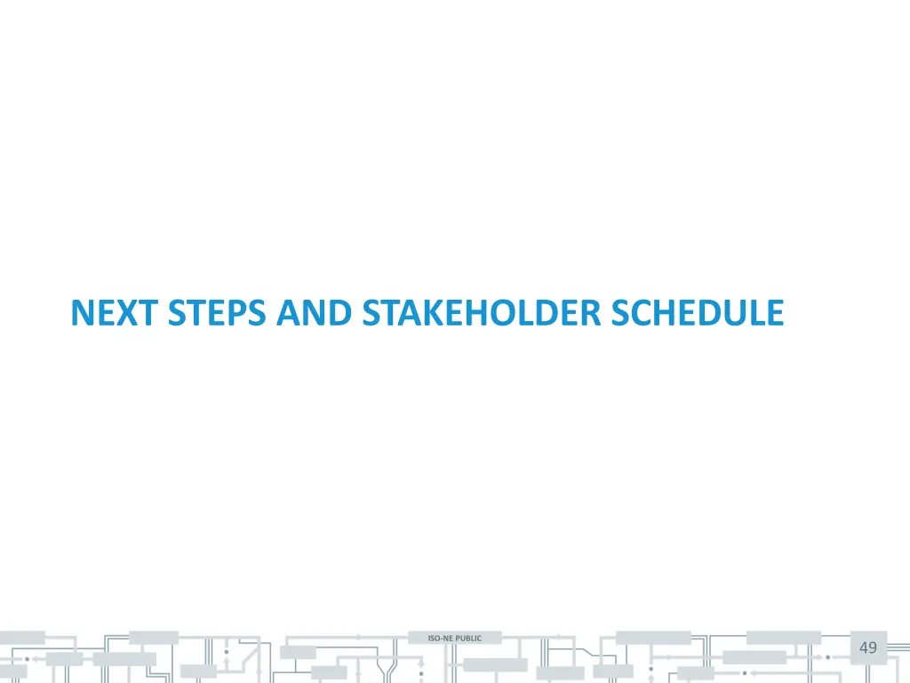 next steps and stakeholder schedule