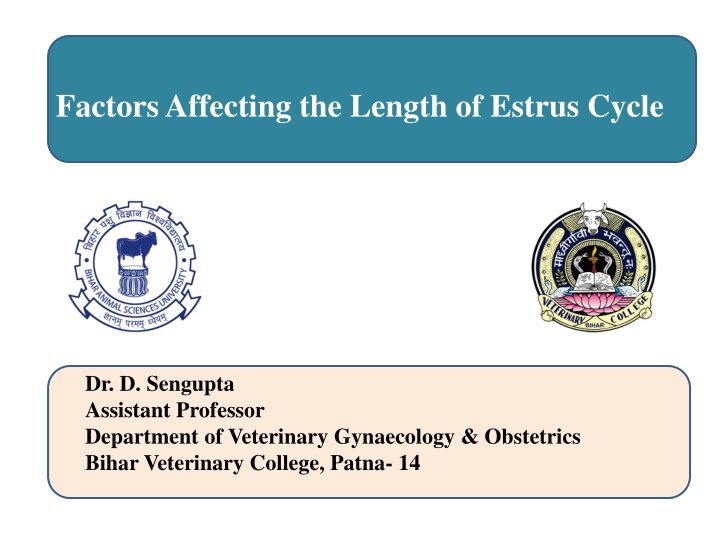 factors affecting the length of estrus cycle