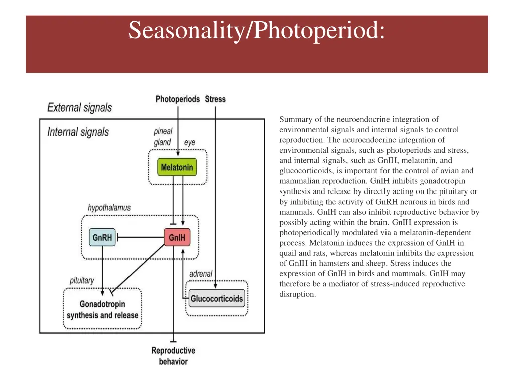 seasonality photoperiod