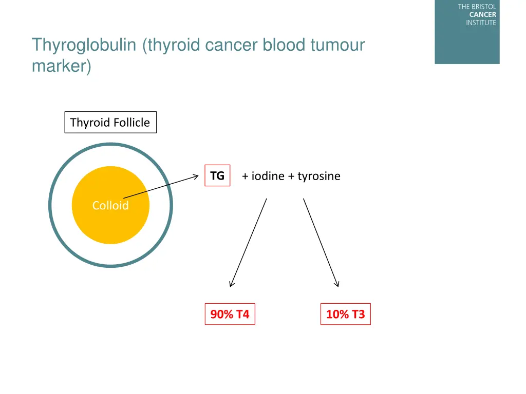 thyroglobulin thyroid cancer blood tumour marker