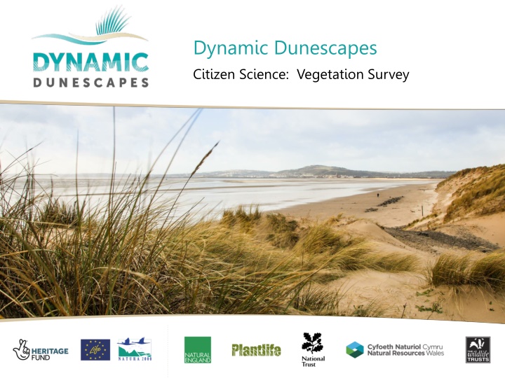 dynamic dunescapes citizen science vegetation