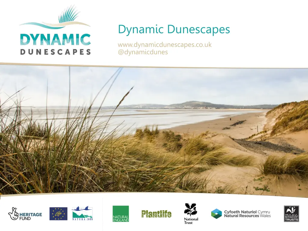 dynamic dunescapes