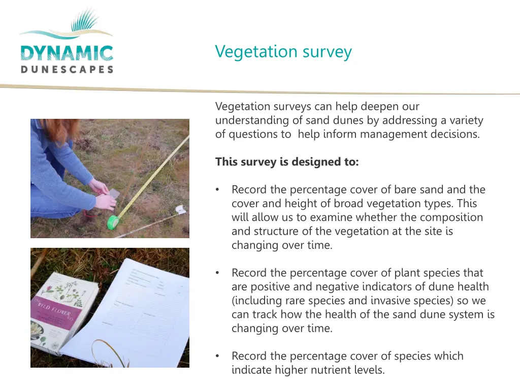 vegetation survey